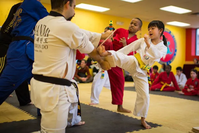 Hanmi Tae Kwon Do Center NH L.L.C. 27 + years in business Picture 8
