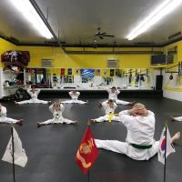 Z10 Gibson's Gym ico