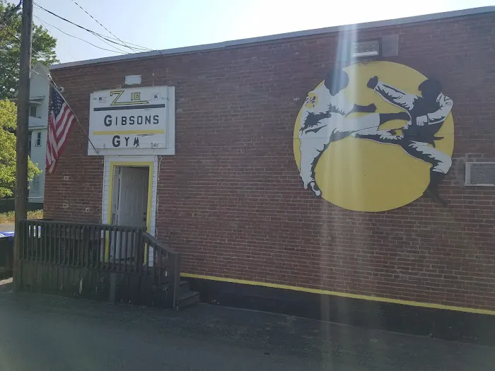 Z10 Gibson's Gym Picture 7