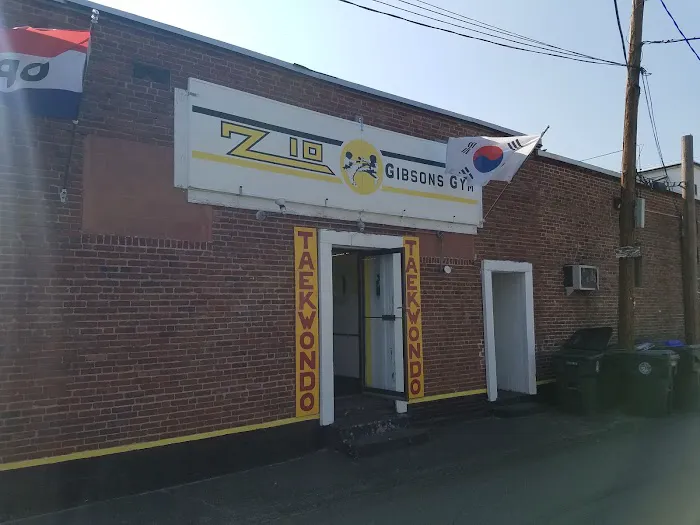 Z10 Gibson's Gym Picture 8