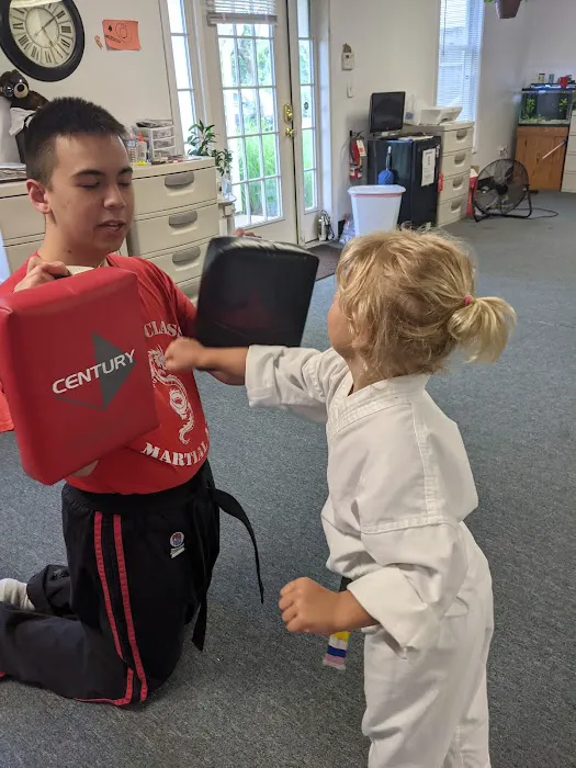 World Class Martial Arts Picture 7