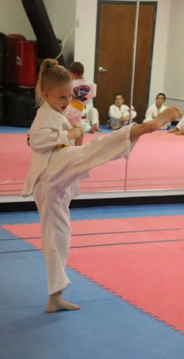 Sidekick Taekwondo Inc. Picture 9
