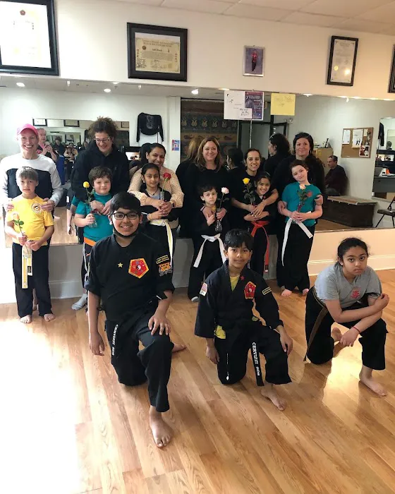 Cervizzi's Martial Arts Academy of Andover Picture 1