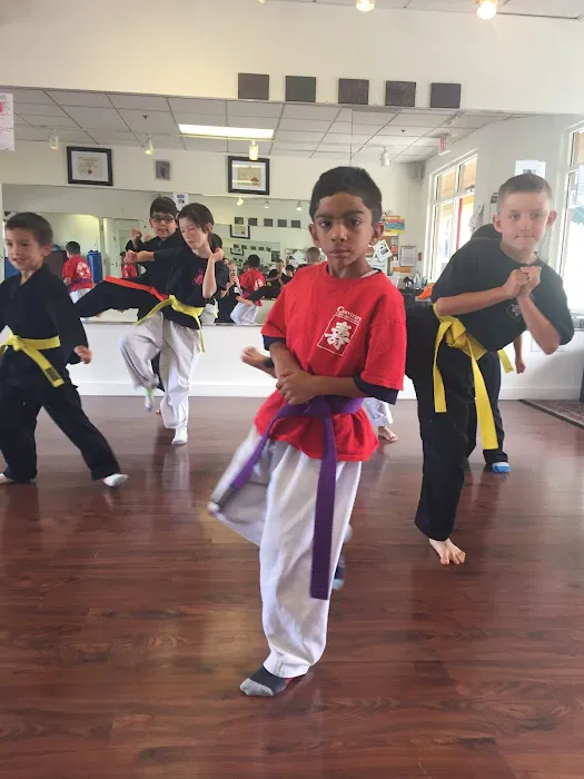 Cervizzi's Martial Arts Academy of Andover Picture 4