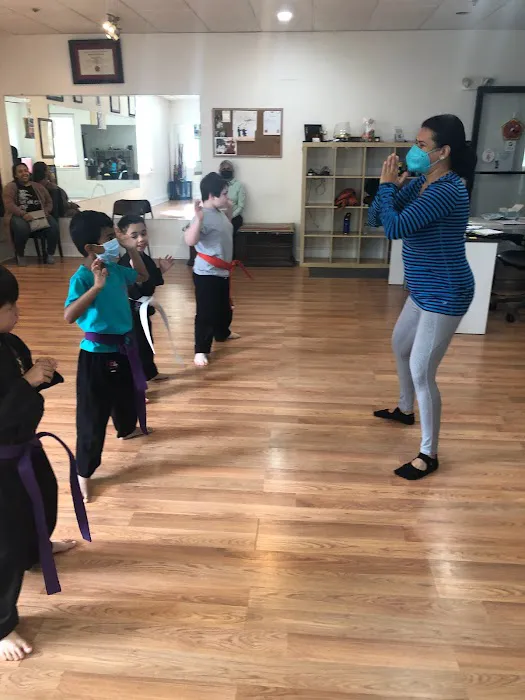 Cervizzi's Martial Arts Academy of Andover Picture 3