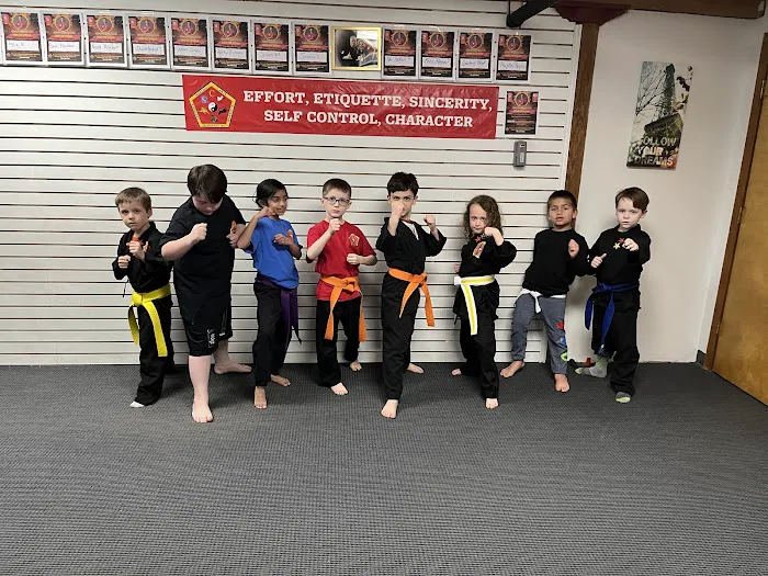 Cervizzi's Martial Arts Academy of Andover Picture 7