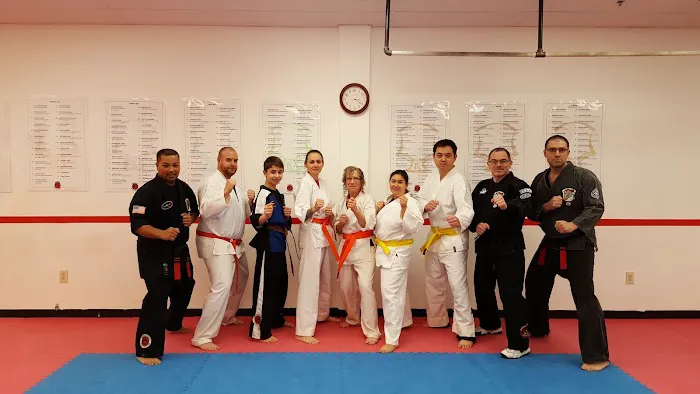 Middleton Karate Academy & Fitness Picture 4