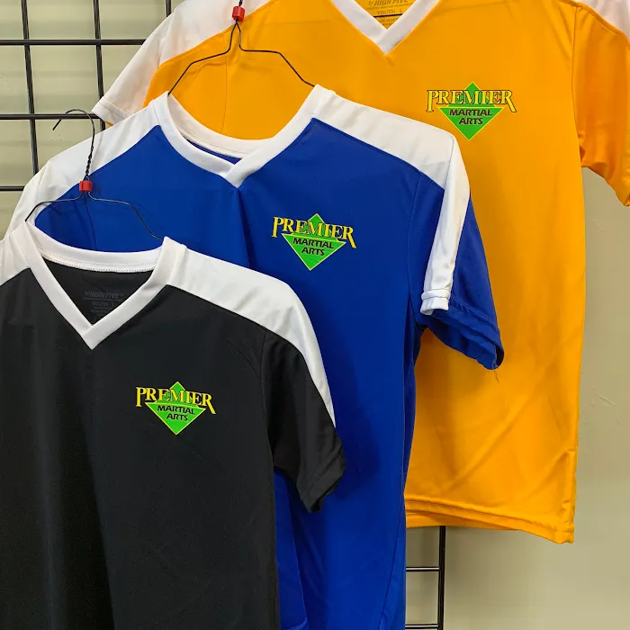 Premier Martial Arts Picture 5