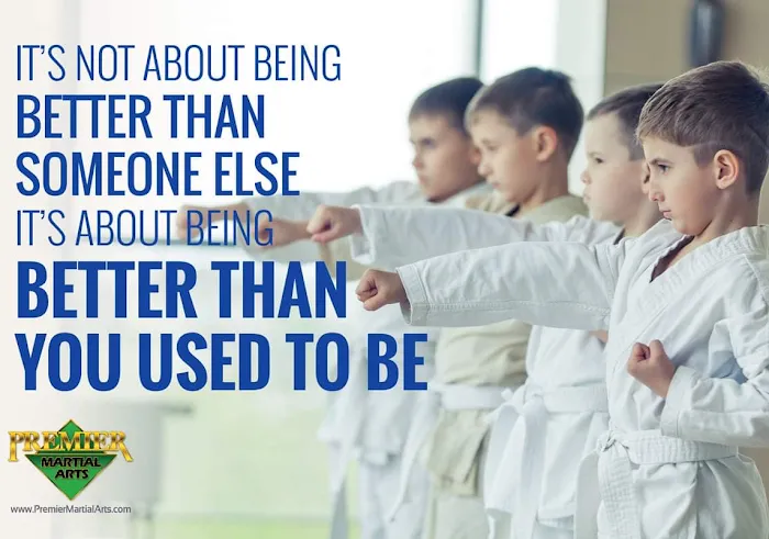 Premier Martial Arts Picture 9