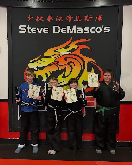 Steve DeMasco's Shaolin Studios of Needham Picture 2