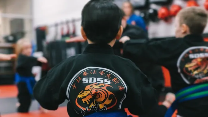 Steve DeMasco's Shaolin Studios of Needham Picture 1