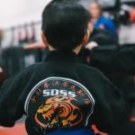 Steve DeMasco's Shaolin Studios of Needham