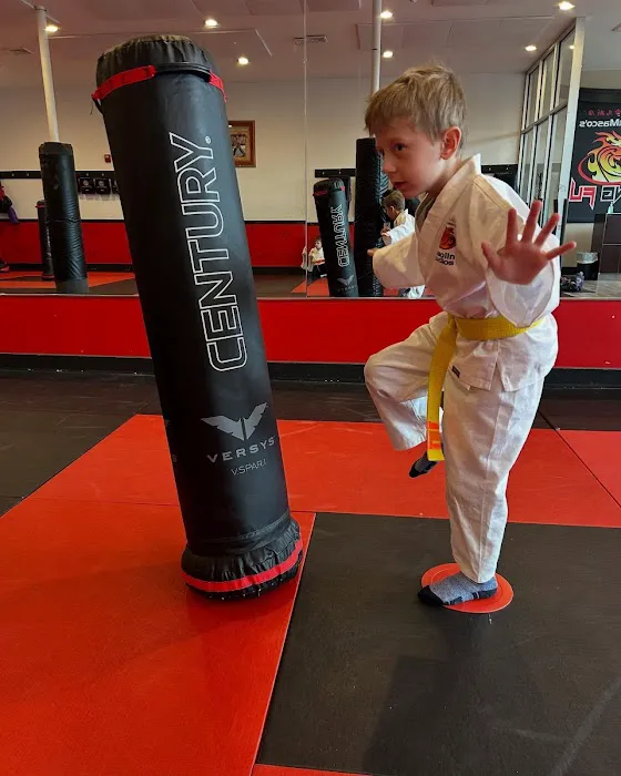 Steve DeMasco's Shaolin Studios of Needham Picture 5