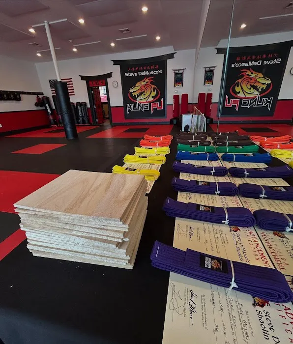 Steve DeMasco's Shaolin Studios of Needham Picture 3