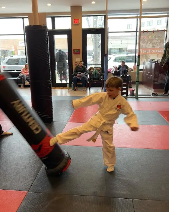 Steve DeMasco's Shaolin Studios of Needham Picture 4