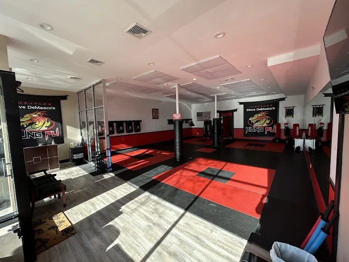 Steve DeMasco's Shaolin Studios of Needham Picture 7