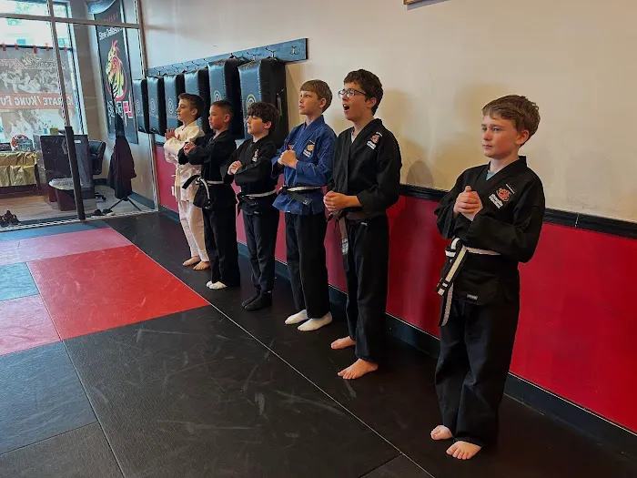 Steve DeMasco's Shaolin Studios of Needham Picture 8