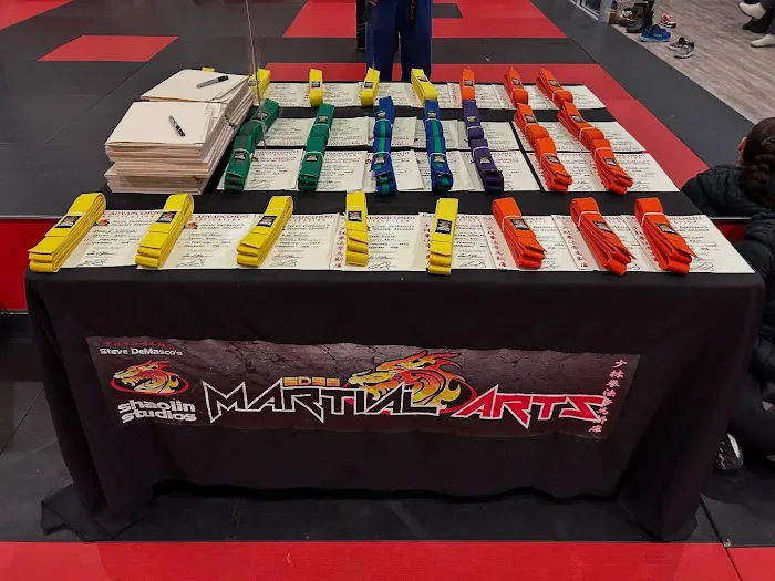 Steve DeMasco's Shaolin Studios of Needham Picture 10