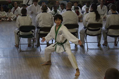 Boston Classical Soo Bahk Do Picture 2