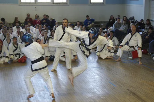 Boston Classical Soo Bahk Do Picture 5