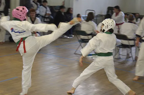 Boston Classical Soo Bahk Do Picture 10