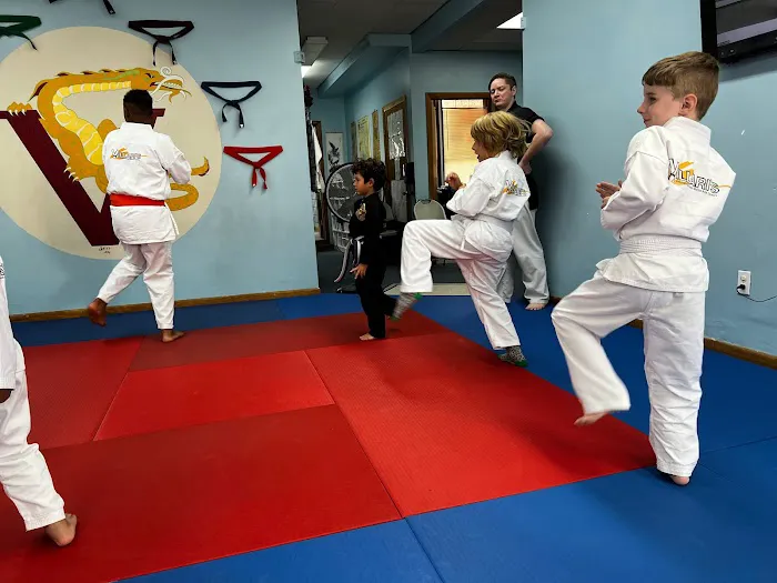 Villari's Martial Arts Centers Picture 2