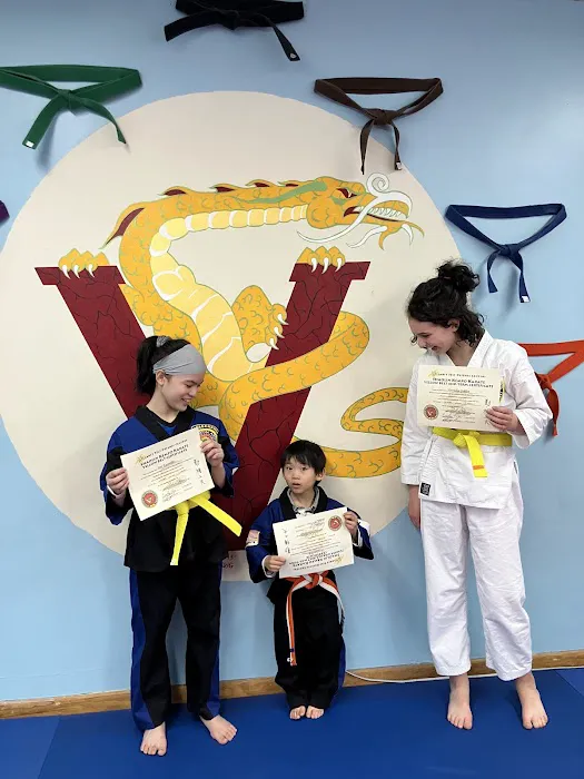 Villari's Martial Arts Centers Picture 3