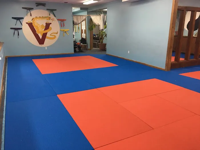 Villari's Martial Arts Centers Picture 5