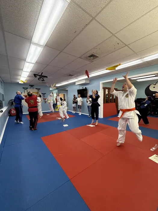 Villari's Martial Arts Centers Picture 7