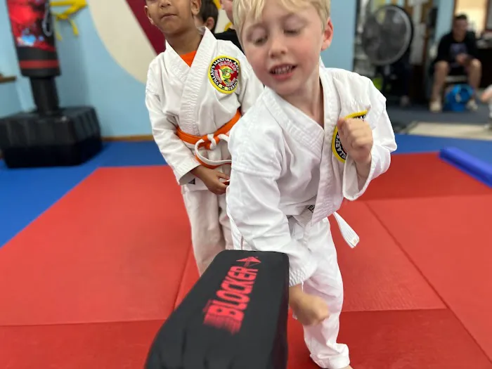 Villari's Martial Arts Centers Picture 8