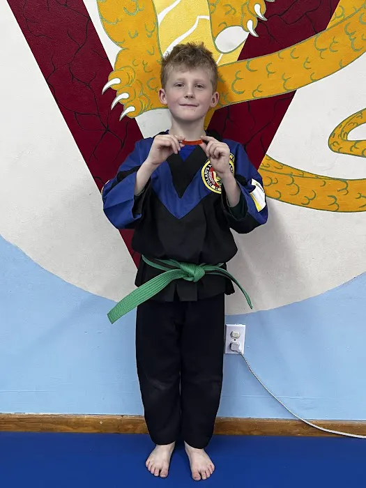 Villari's Martial Arts Centers Picture 10