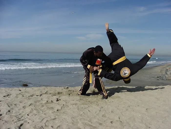 Oom Yung Doe - 8 Martial Arts - Somerville Boston Picture 8