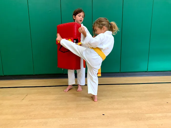 Boston Budo Picture 4