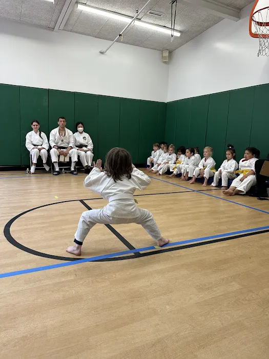 Boston Budo Picture 10