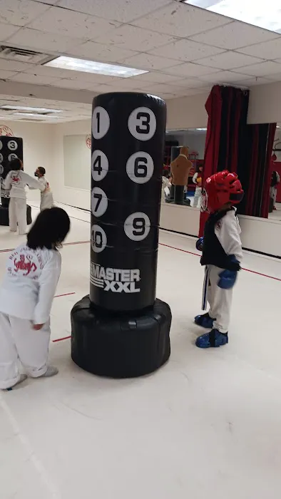 Red Tiger Academy of Martial Arts Picture 3