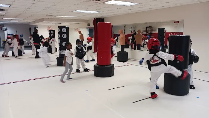 Red Tiger Academy of Martial Arts Picture 2