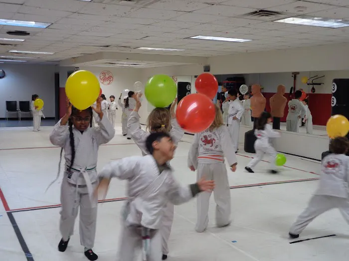 Red Tiger Academy of Martial Arts Picture 8