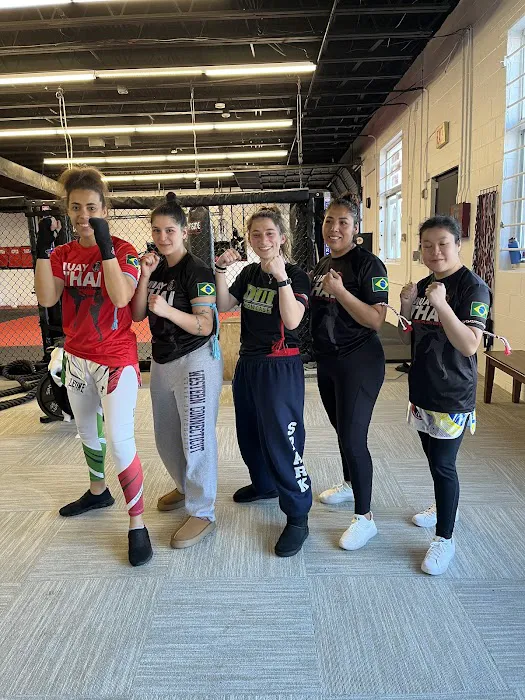 Brazilian Martial Arts Center Picture 4