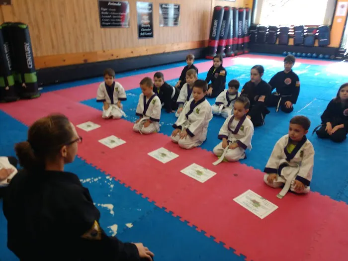 USA Karate Somerset Picture 3
