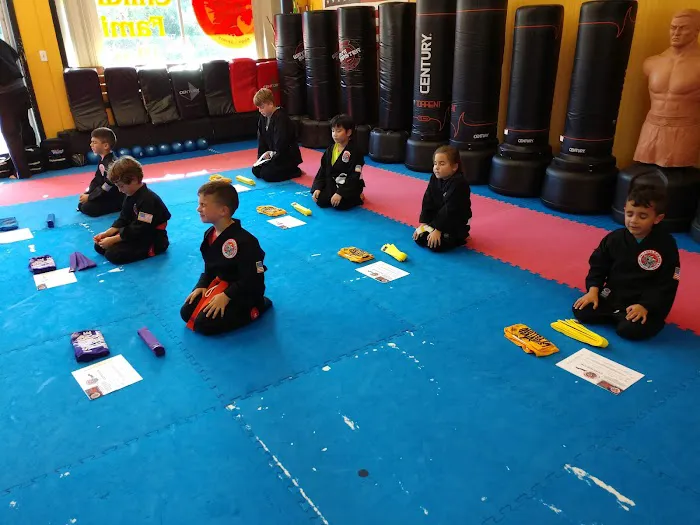 USA Karate Somerset Picture 7