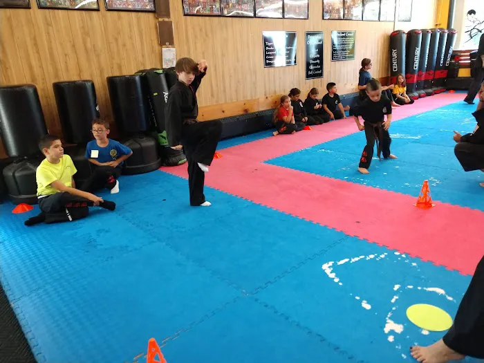 USA Karate Somerset Picture 6