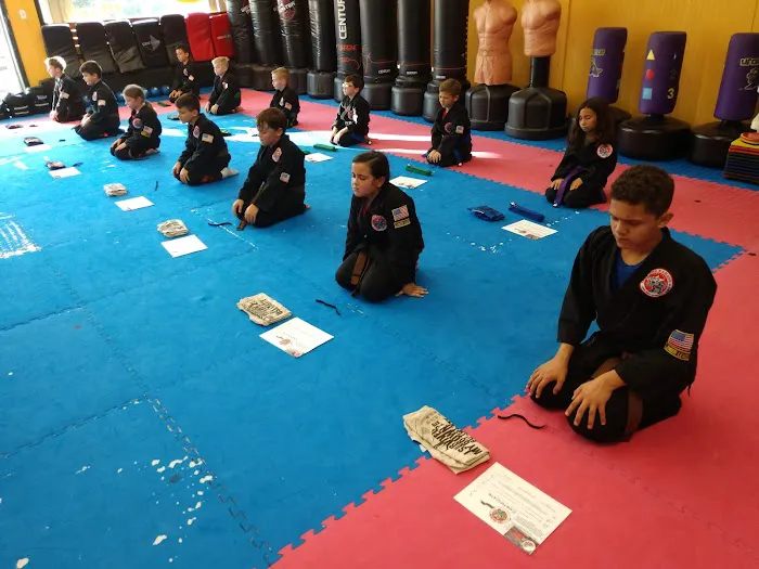 USA Karate Somerset Picture 9
