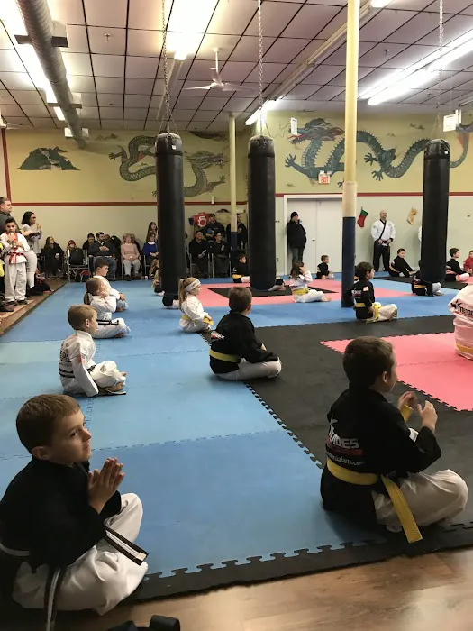 Mendes Martial Arts Picture 2