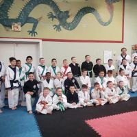 Mendes Martial Arts ico