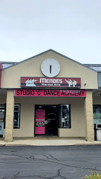 Mendes Martial Arts Picture 3