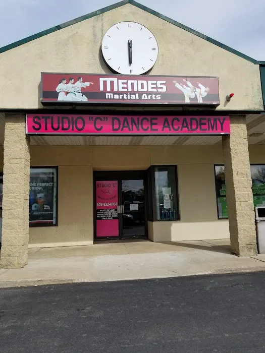 Mendes Martial Arts Picture 10