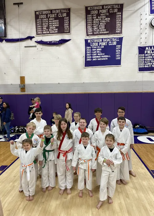 Martial Arts and Fitness Institute Picture 2