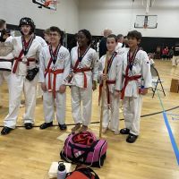 Martial Arts and Fitness Institute ico