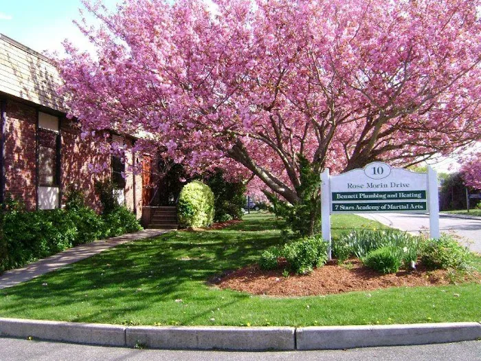 Seven Stars Academy of Martial Arts Picture 1