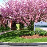 Seven Stars Academy of Martial Arts ico